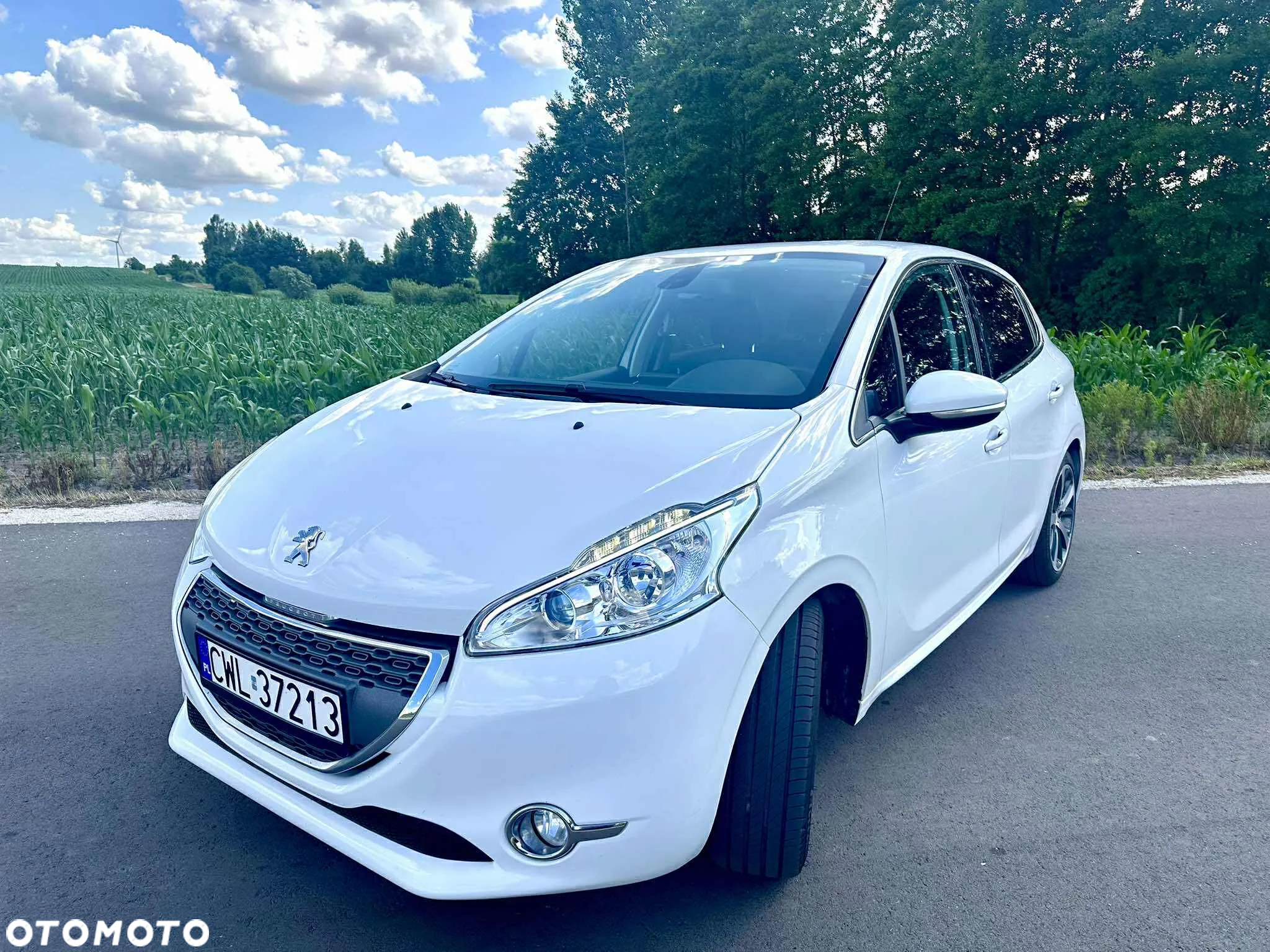 Peugeot 208 - 19