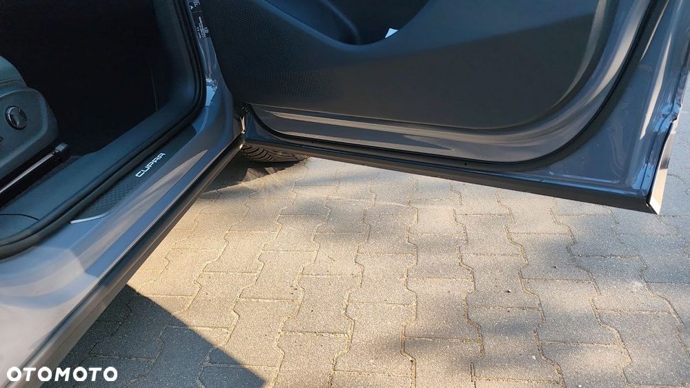 Cupra Terramar 2.0 TSI 4Drive VZ DSG - 12