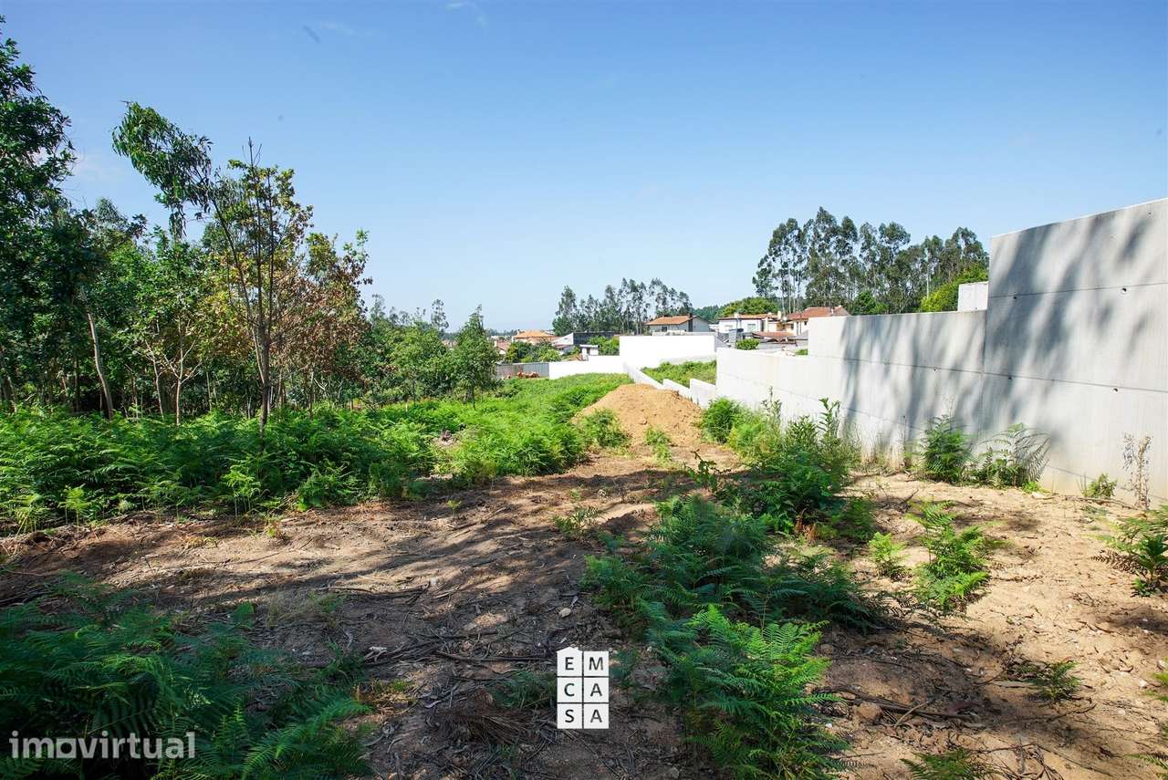 Terreno Para Construção  Venda em São Miguel do Souto e Mosteirô,Santa - Grande imagem: 3/16