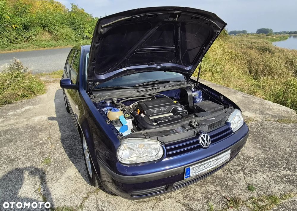 Volkswagen Golf - 10
