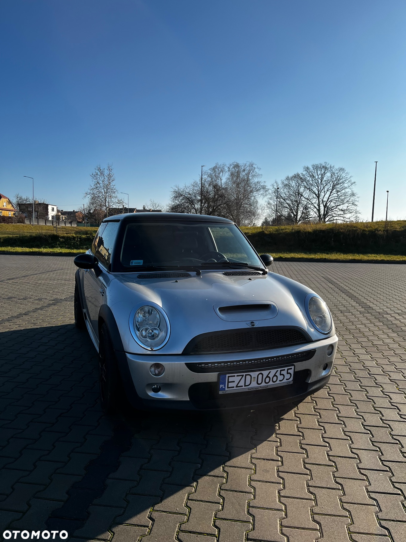 MINI Cooper S chili - 5
