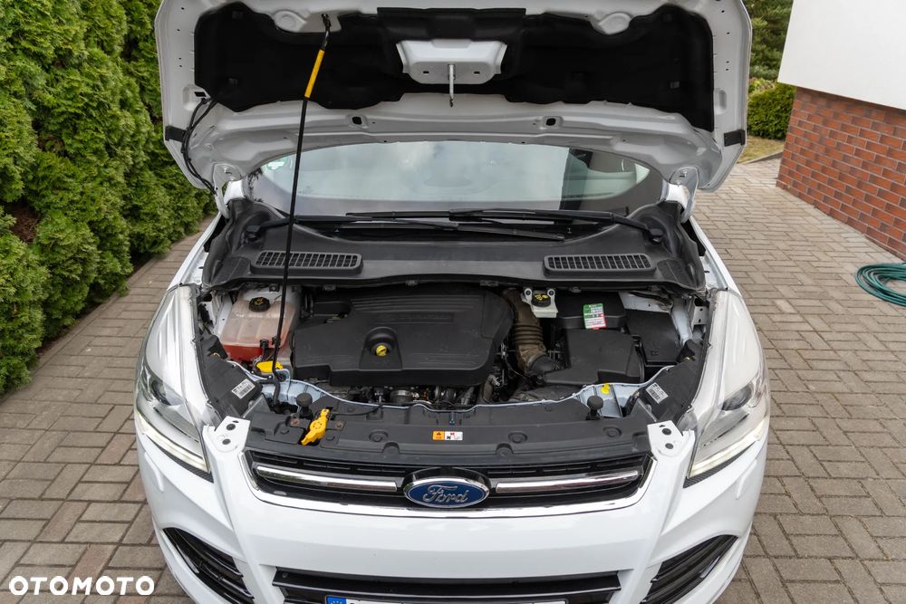 Ford Kuga 2.0 TDCi FWD Titanium Plus - 18