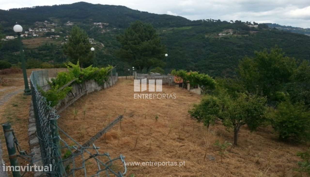 Venda Terreno, Ancede, Baião - Grande imagem: 4/4