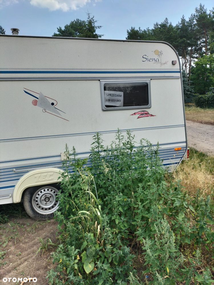 TEC 450 K Siena - 4