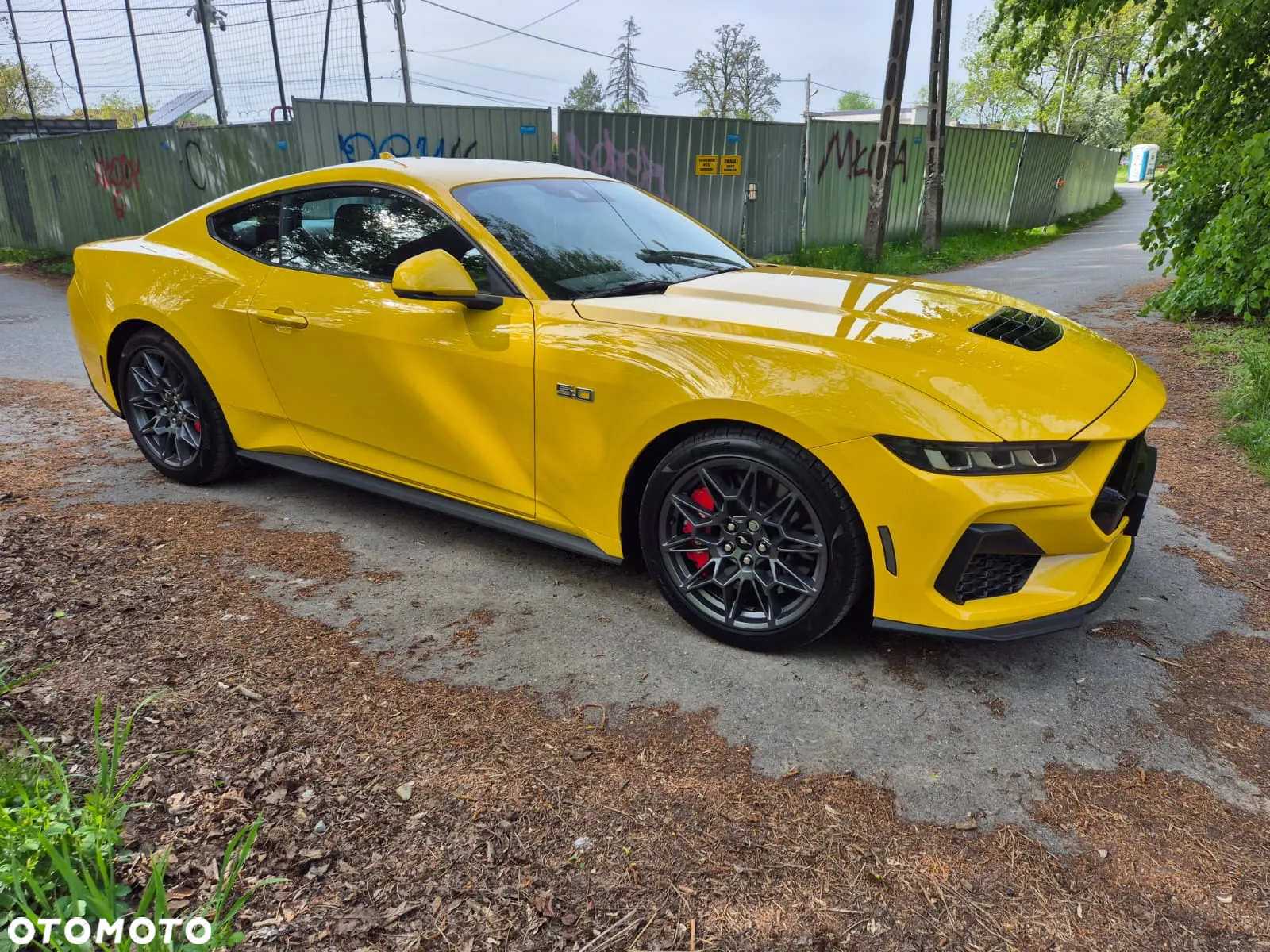 Ford Mustang Fastback 5.0 Ti-VCT V8 GT - 19
