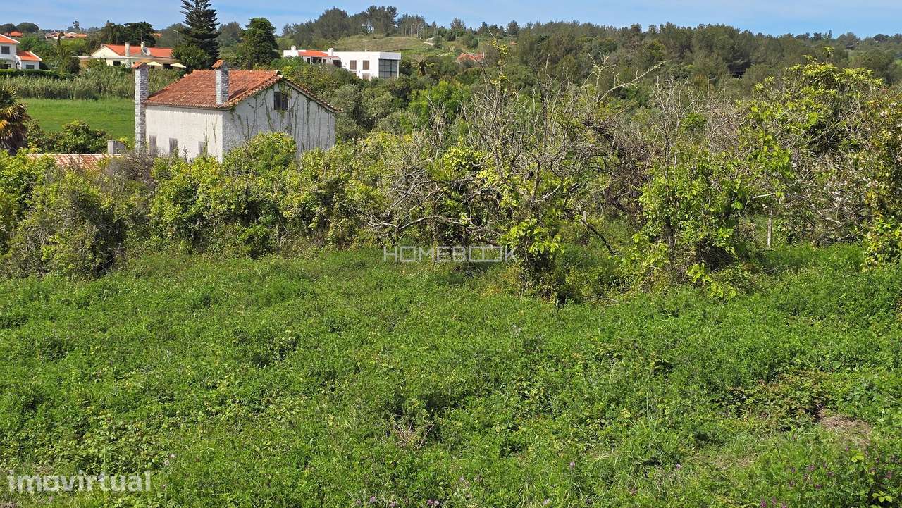 Sintra, Galamares, Quinta com 13.280 m2 - Grande imagem: 3/52