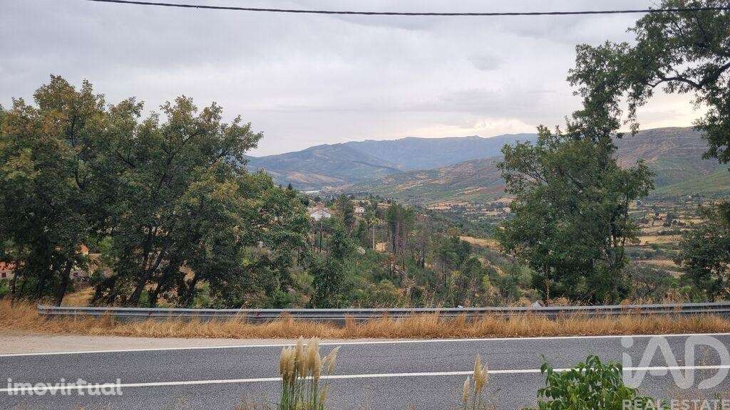 Quinta T2 em Famalicão - Grande imagem: 5/38