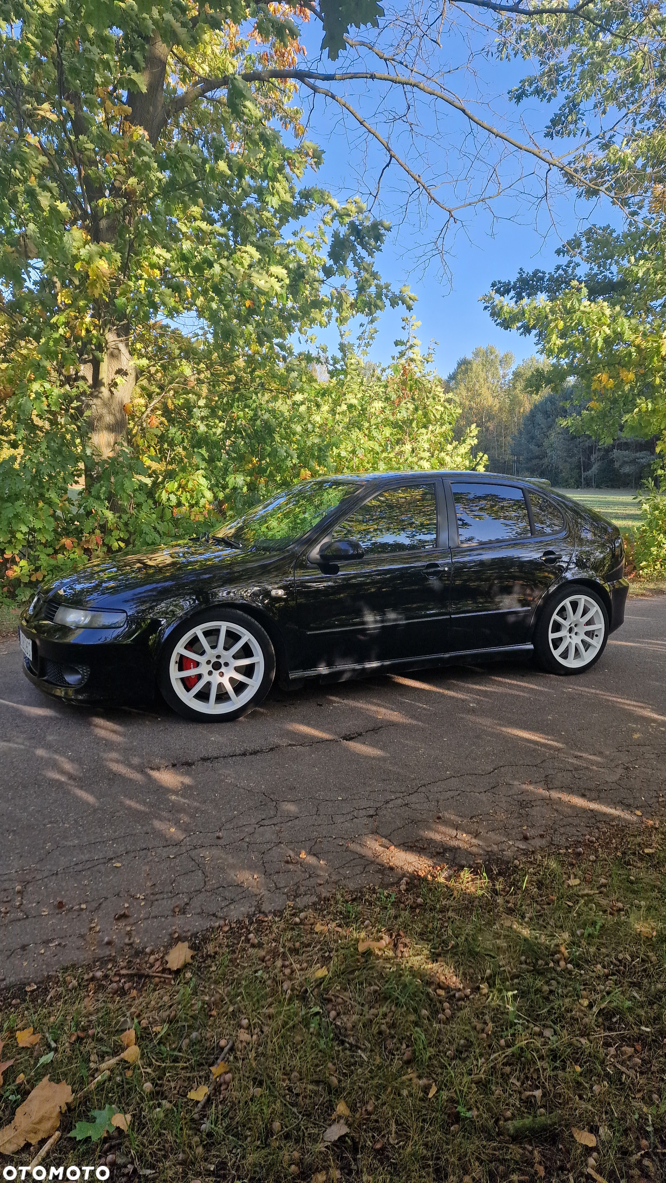 Seat Leon 1.8T Cupra R - 2