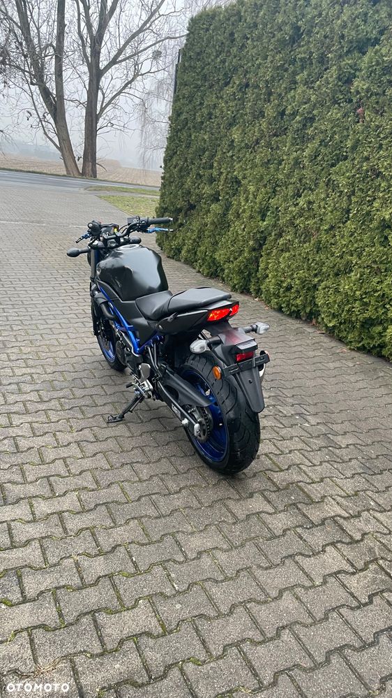 Suzuki SV - 11