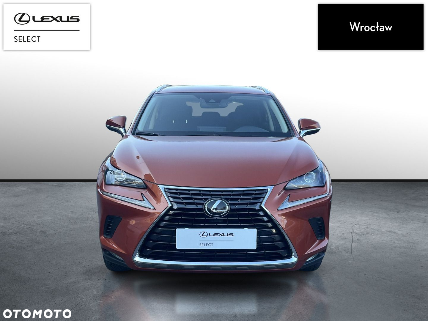 Lexus NX 300 Optimum AWD - 8