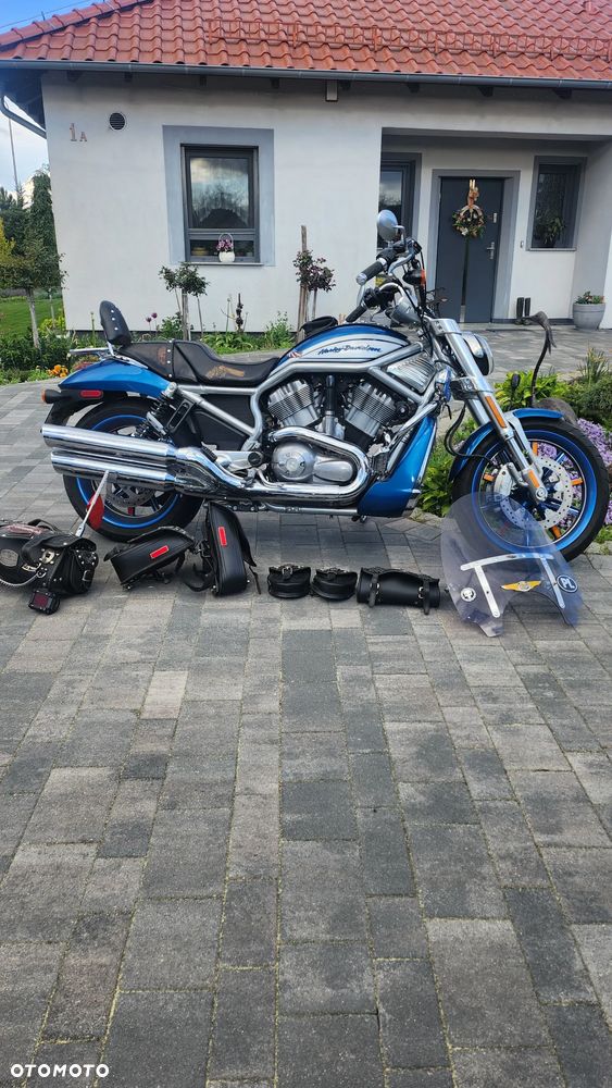Harley-Davidson V-Rod Street Rod - 4