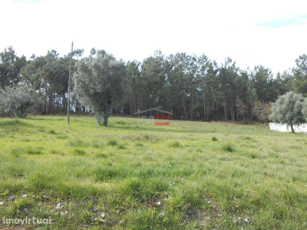 Terreno - Grande imagem: 5/9