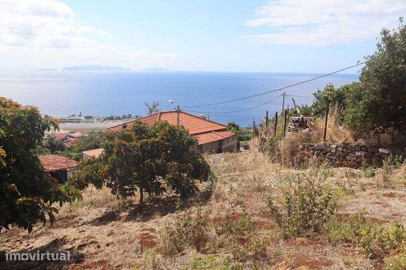 Terreno para Moradia em Santa Cruz - Grande imagem: 2/6