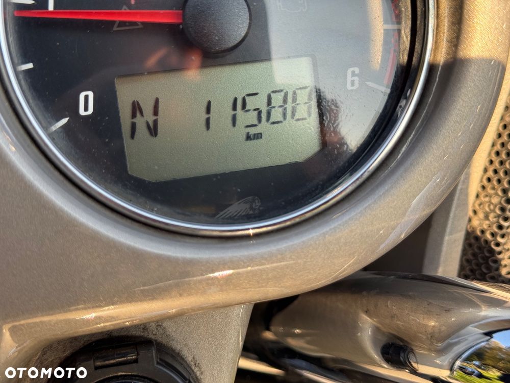 Indian Chieftain - 25