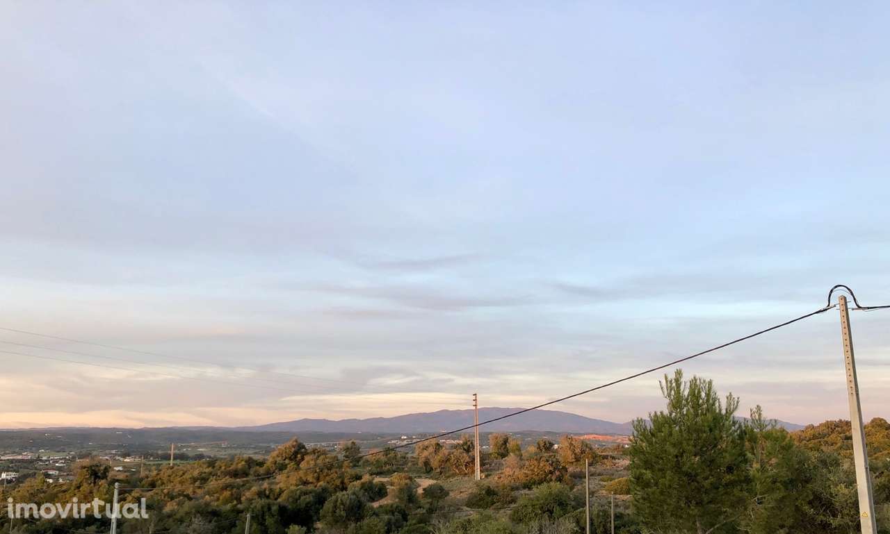 TERRENO RUSTICO PERTO DOS PALMARES, ODIÁXERE - Grande imagem: 4/5