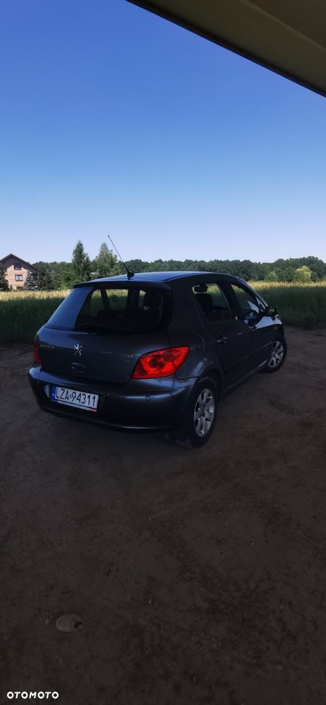 Peugeot 307 - 3