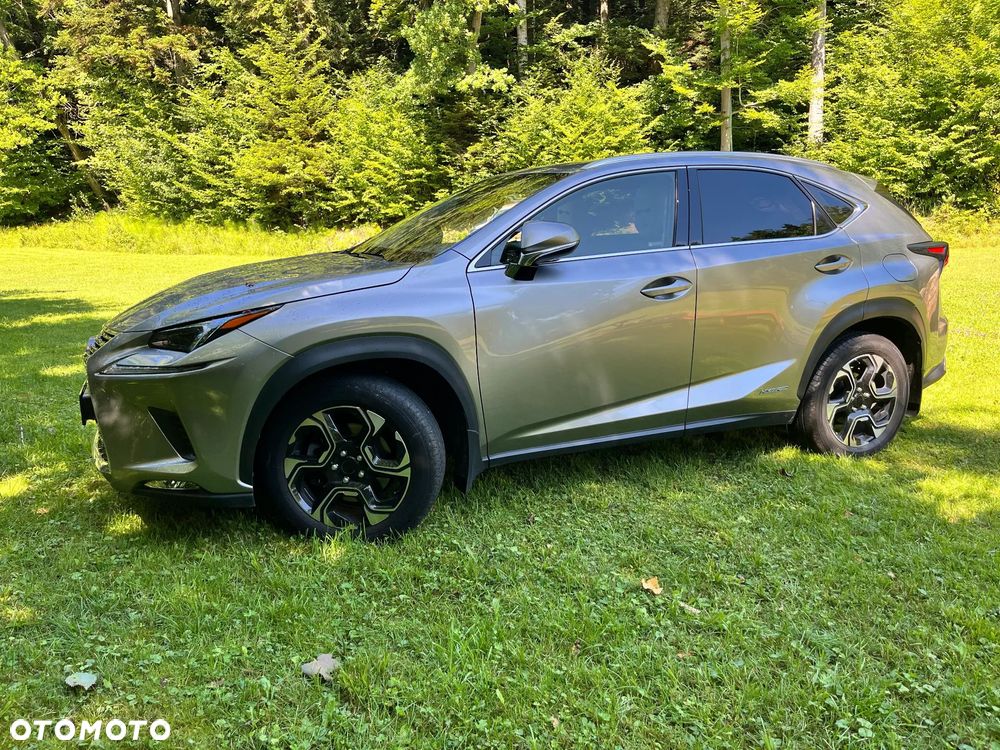 Lexus NX 300h Elegance AWD - 38