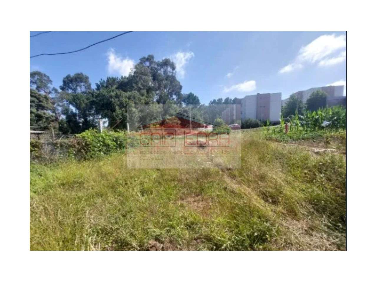 Terreno urbano com acesso pavimentado e vedação - Grande imagem: 3/7
