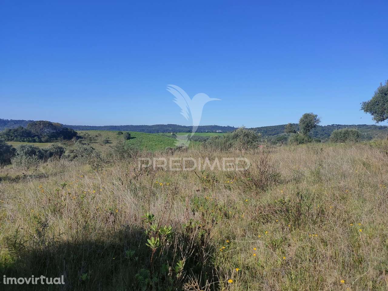 Terreno Rústico - Monsanto, Alcanena - Grande imagem: 2/9