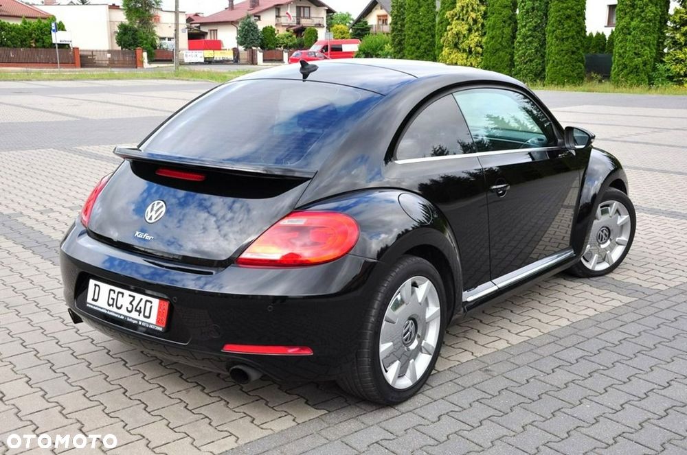 Volkswagen Beetle - 19