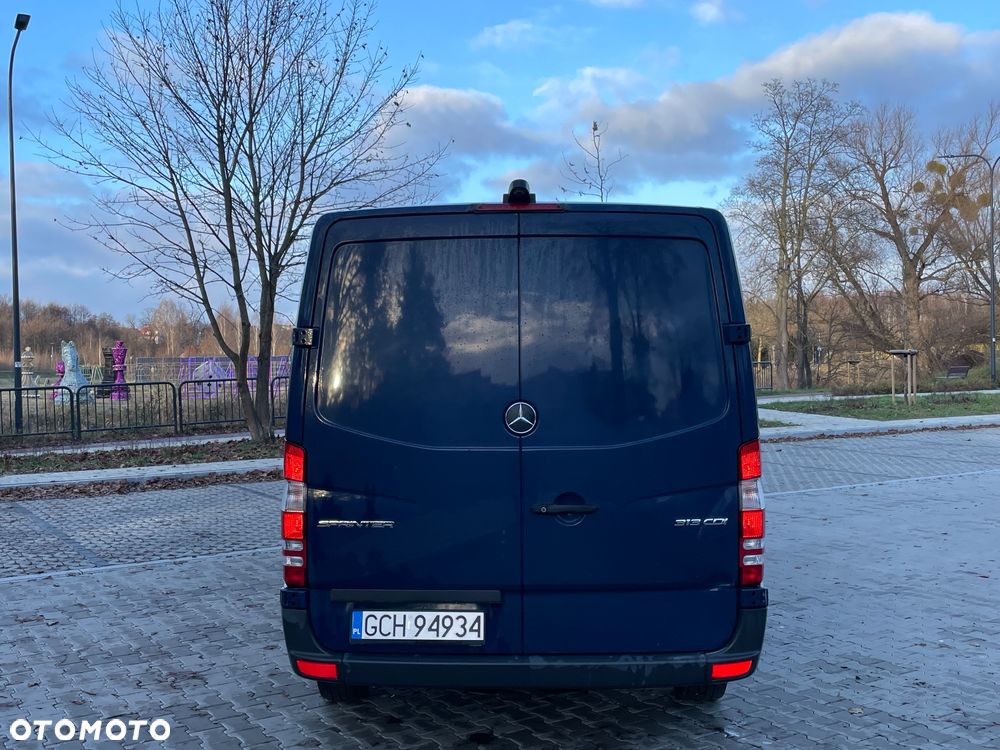 Mercedes-Benz Sprinter (BlueTec) 906.253 BlueEFFICIENCY - 12