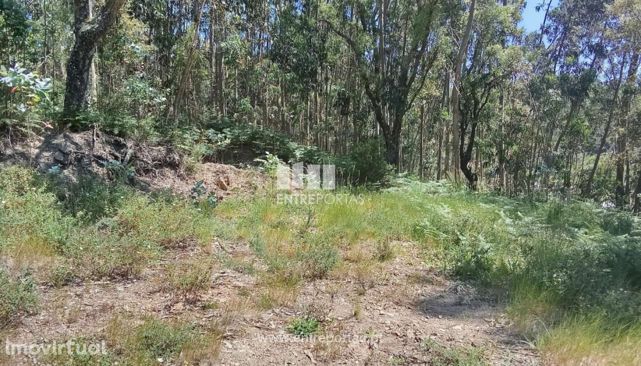 Terreno para venda, Gandra, Valença - Grande imagem: 3/5