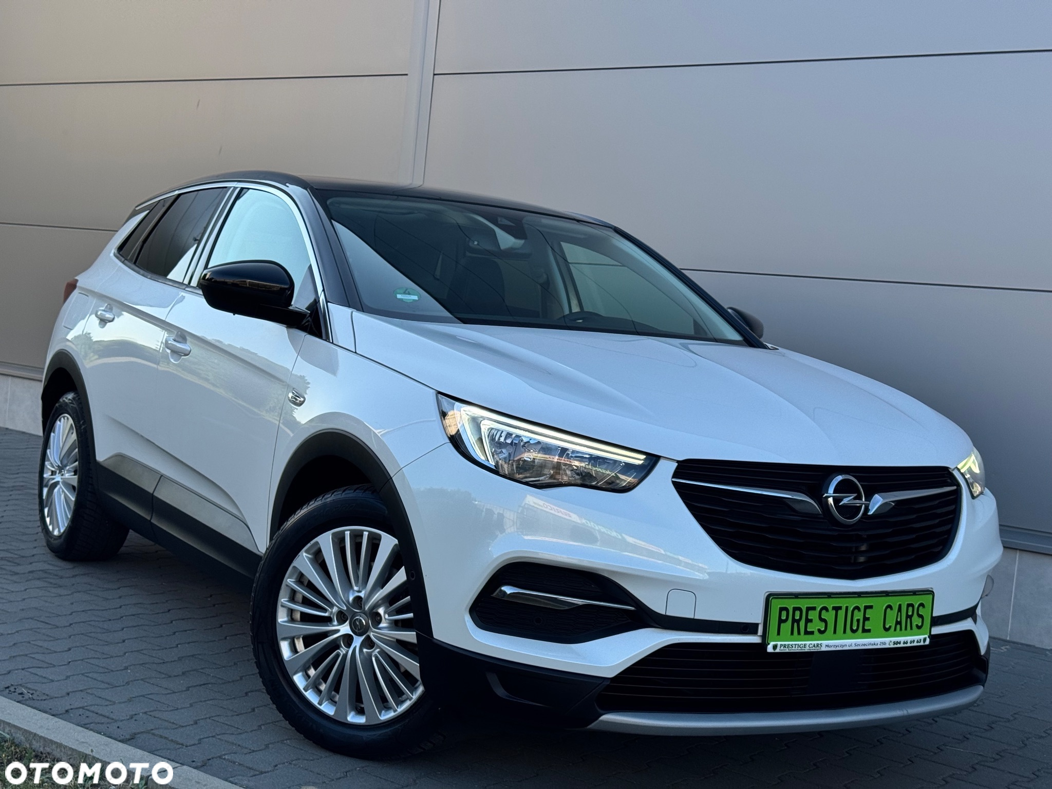 Opel Grandland X 1.6 CDTI Ultimate S&S - 5