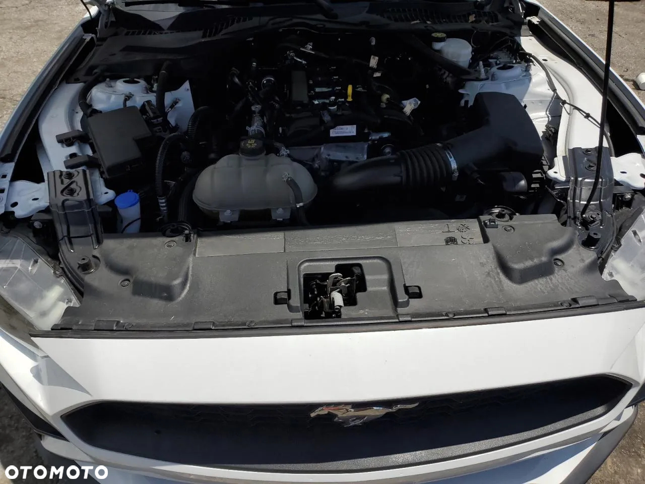 Ford Mustang 2.3 EcoBoost - 11