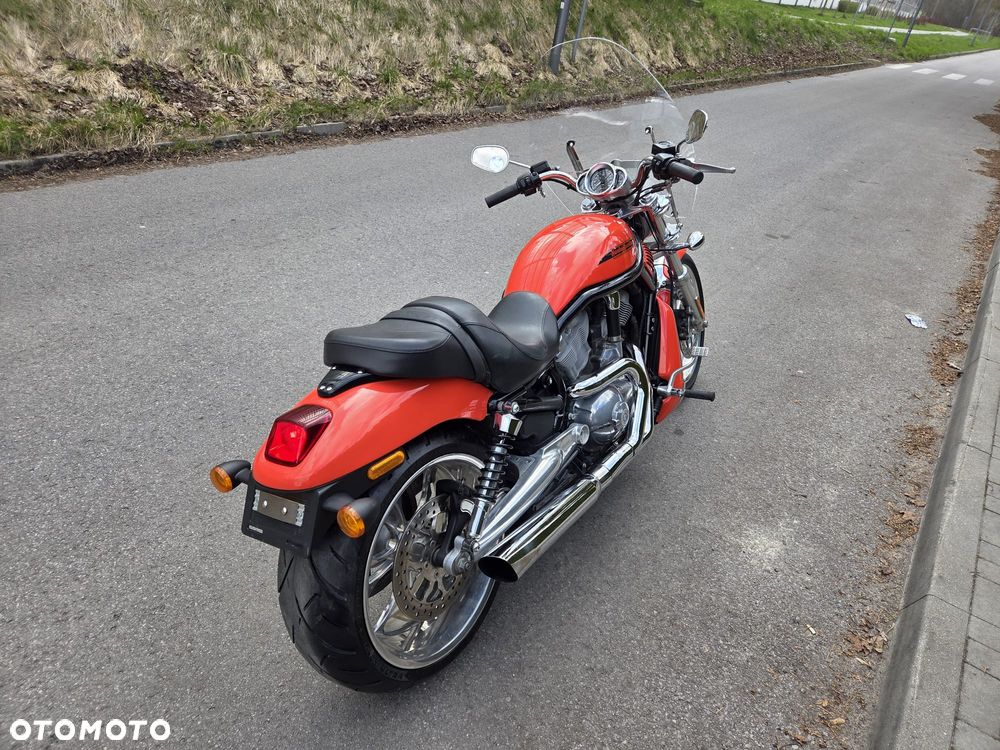 Harley-Davidson Softail V-Rod - 7