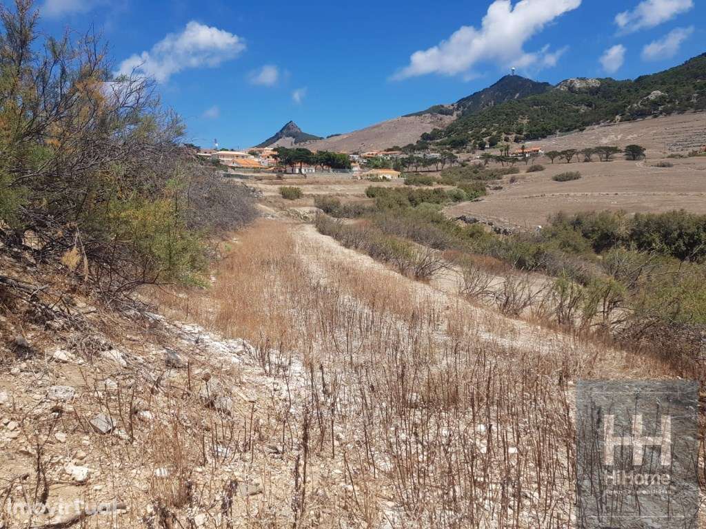 Terreno com 3.560 m2 na Camacha na Ilha de Porto Santo - Grande imagem: 3/14