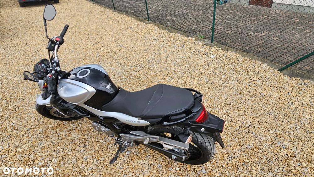 Suzuki Gladius - 9