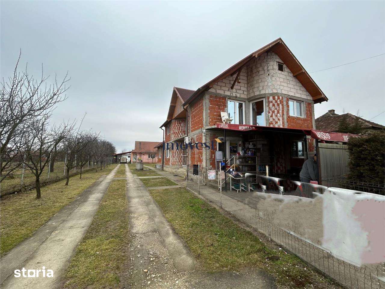 🏡 Casa de vanzare in Iojib, Satu Mare | 2 Case + Spatiu Comerc - Imagine principală: 3/15