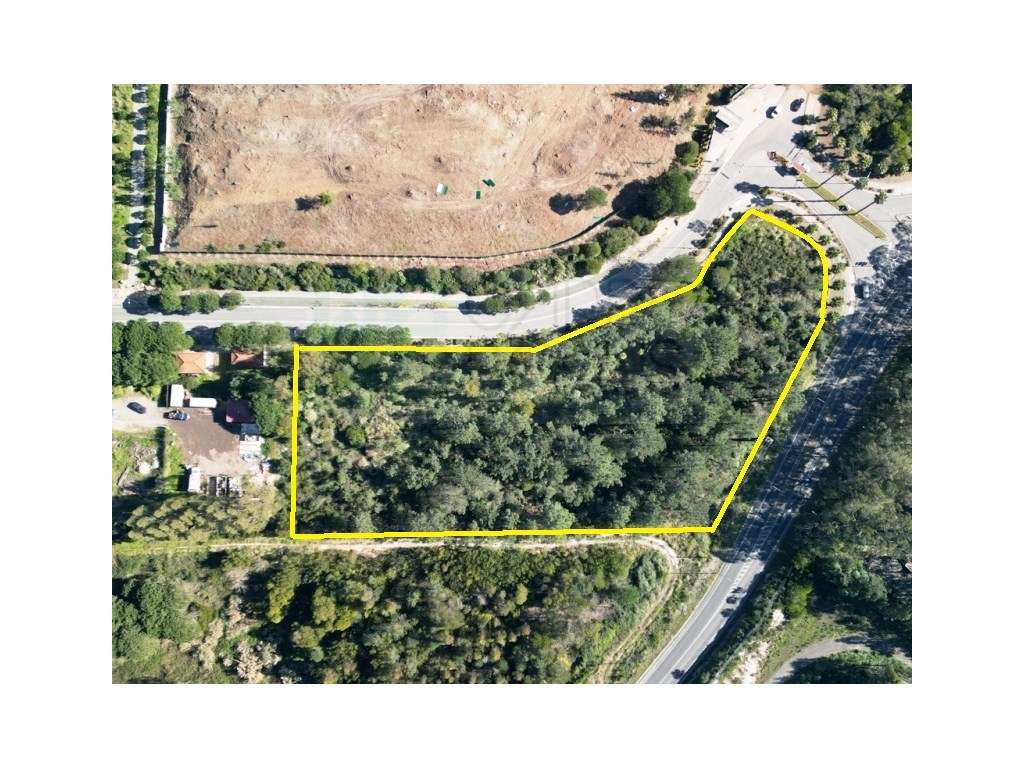 Terreno 10.006 m2 na entrada do Belas Clube de Campo, Sintra - Grande imagem: 2/34
