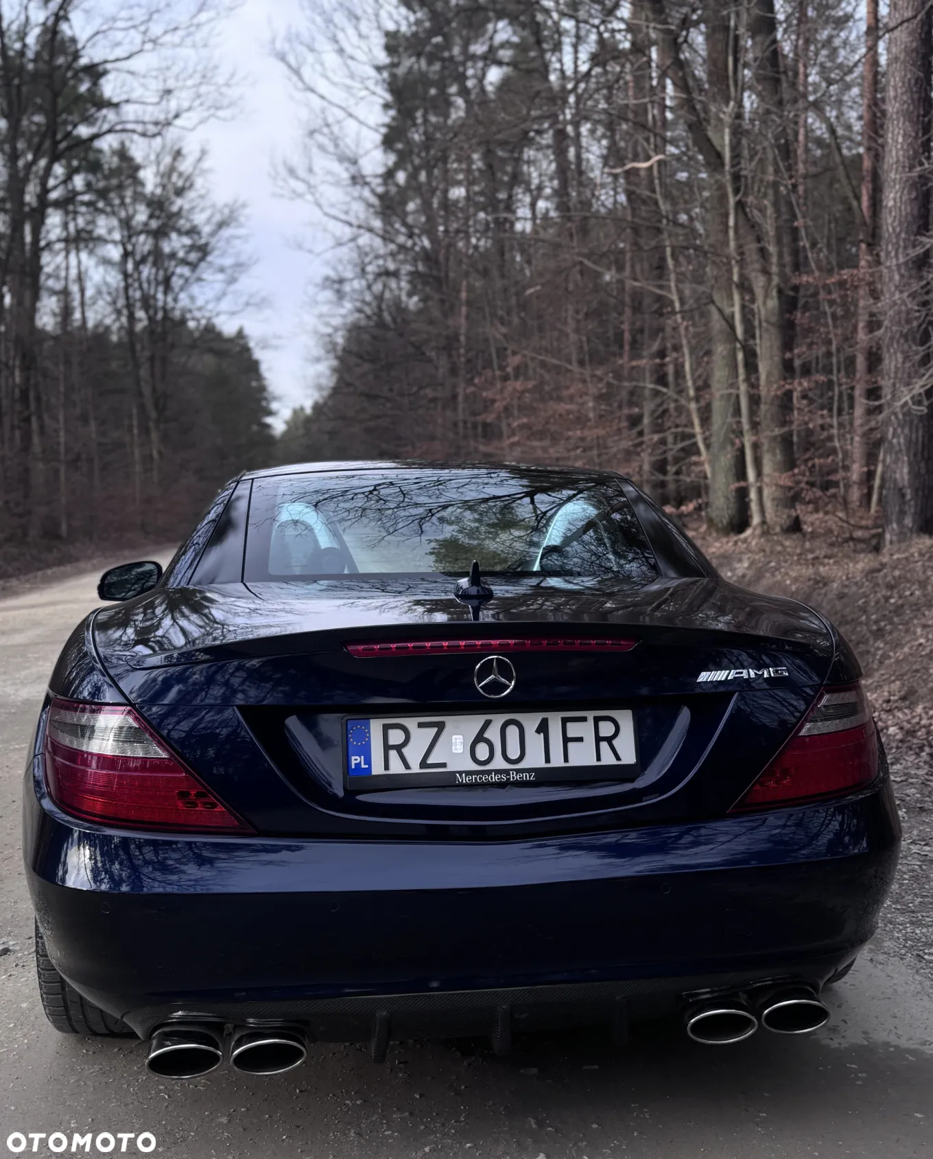 Mercedes-Benz SLK 350 (BlueEFFICIENCY) 7G-TRONIC - 17