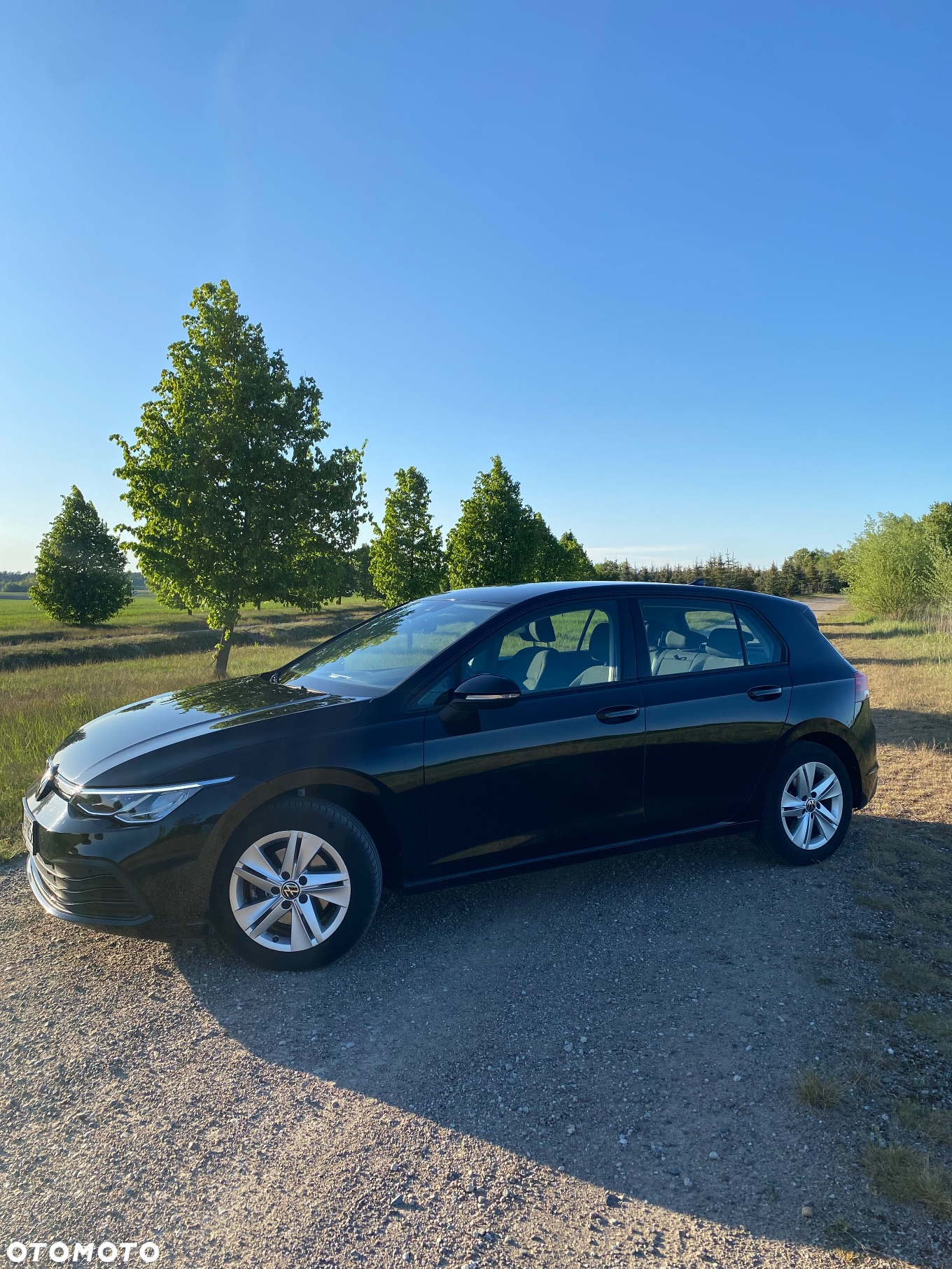 Volkswagen Golf - 8
