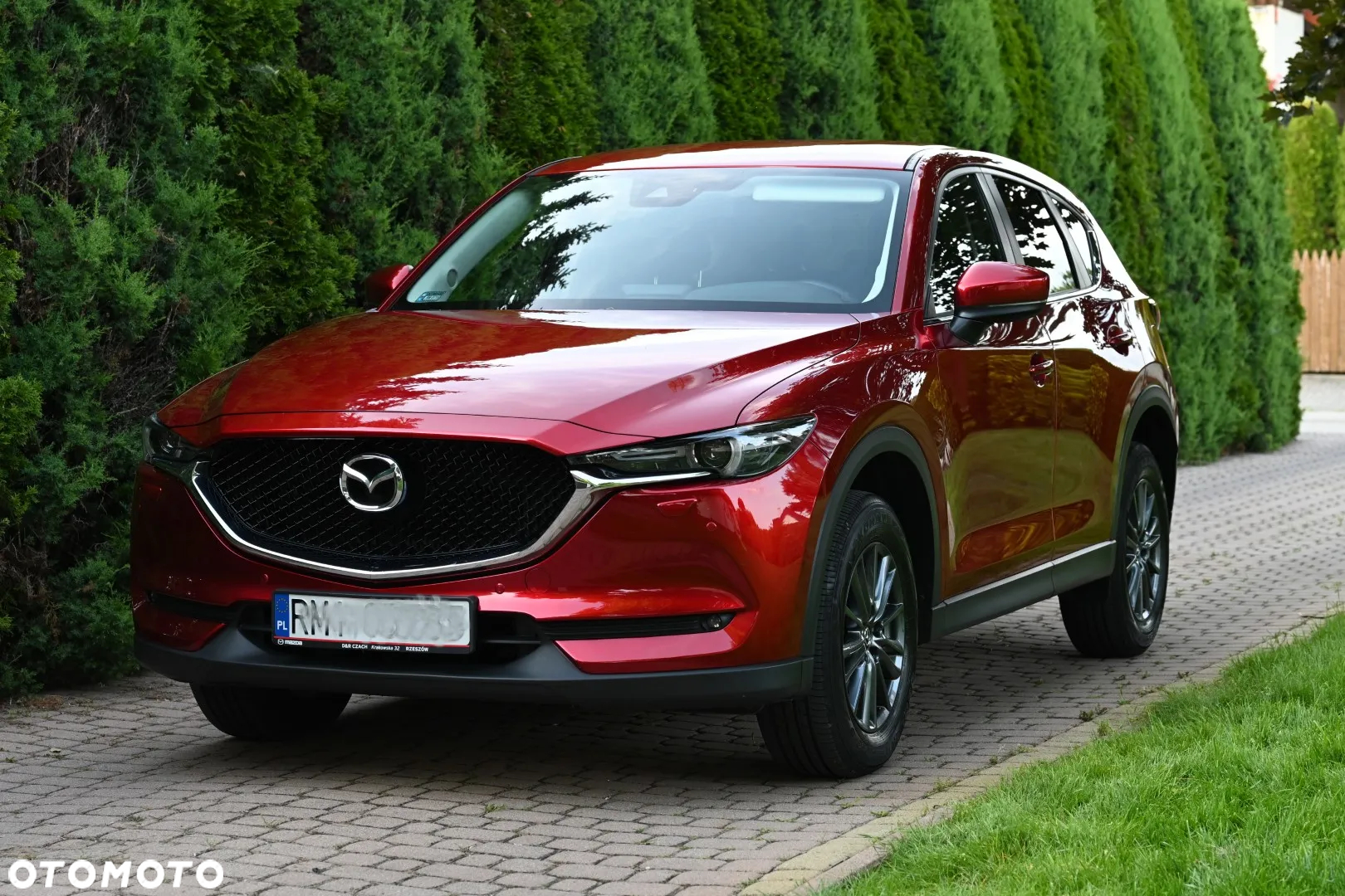 Mazda CX-5 2.0 Skyenergy AWD - 3
