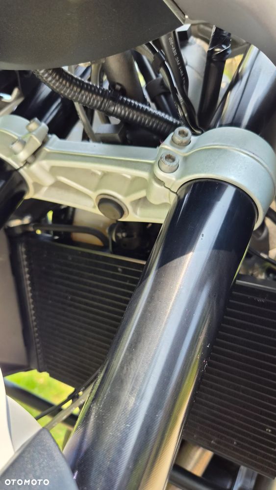 Triumph Tiger - 21