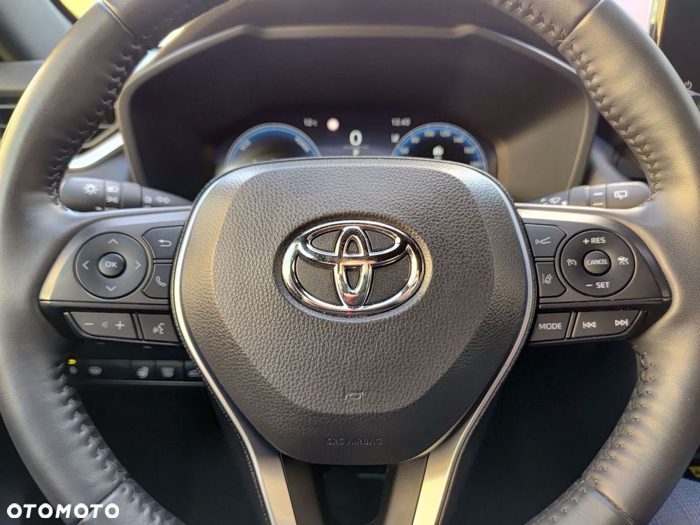 Toyota RAV4 2.5 Hybrid Selection 4x4 - 19