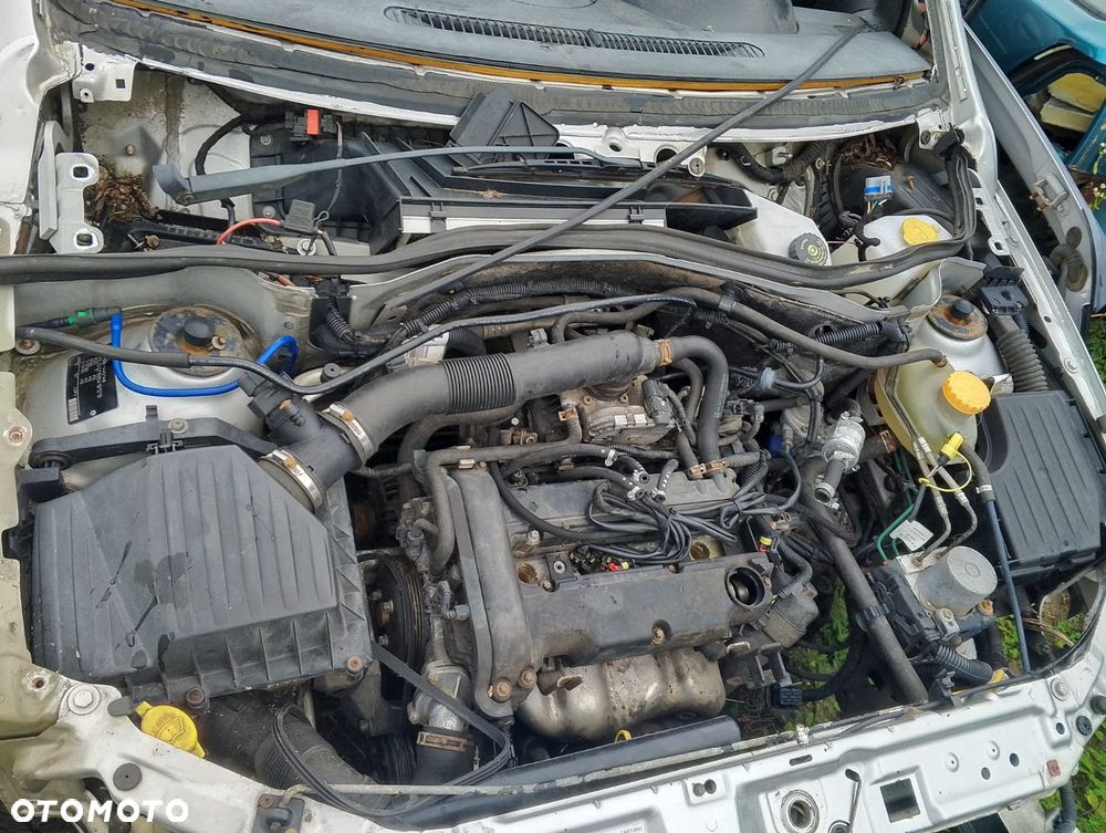 Opel Corsa C (02-06r.) 1.4 B 89KM. Silnik Z14XEP Skrzynia F13 lakier 2AU. Cały na części. GWARANCJA !!!  Przód Tył Zestaw Komplet Drzwi Klapa Zderzak Błotnik Maska Grill Atrapa Szyba Pas Lampa Lusterko Boczki Fotel Kanapa Kokpit Deska Rozdzielcza Przełącznik Włącznik Sterownik Przewody Wiązka Instalacja Moduł Komputer Czujnik Listwa Pompa Alternator Wtryski Głowica Rozrusznik Kompresor Sprzęgło Dwumas Silnik Skrzynia ABS Klimatyzacji Paliwa Wspomagania Kolektor Turbina Przepustnica Zawór Chłodnica Koło Hak Belka Sanki Zawieszenie Mcpherson Półoś Amortyzator Wydech Tłumik Zacisk Most - 5