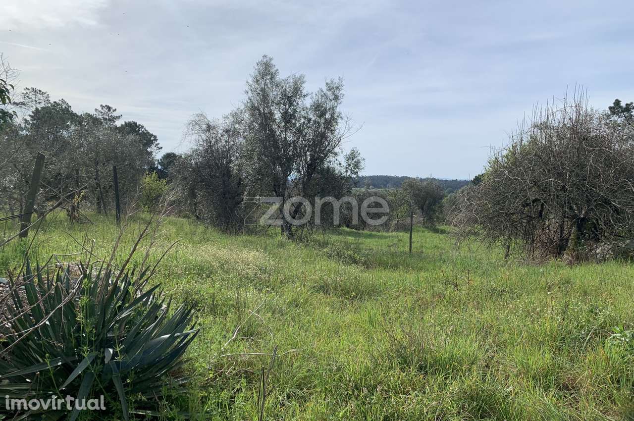 Terreno Urbanizável - Grande imagem: 3/16