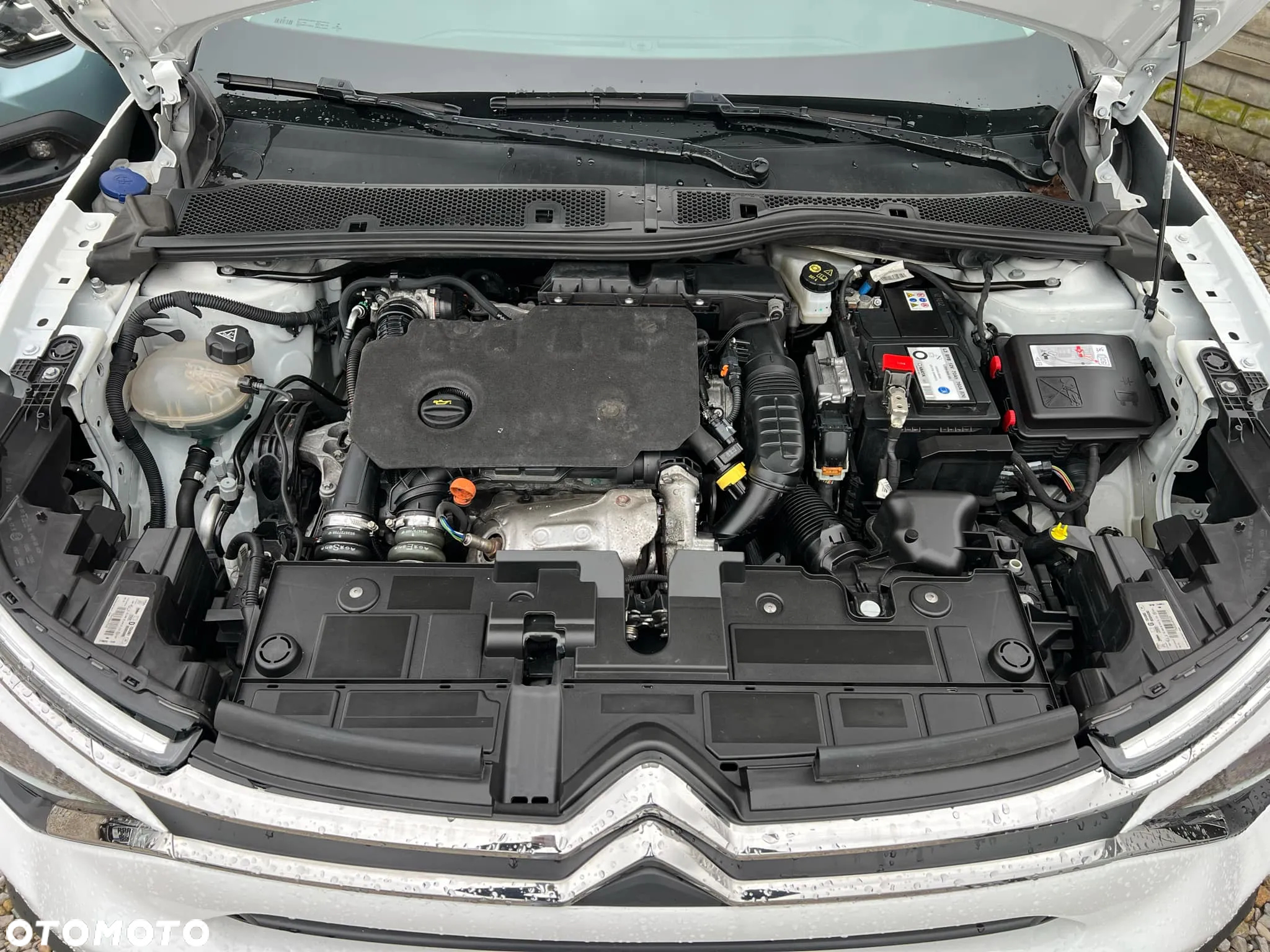 Citroën C4 1.5 BlueHDi Feel S&S - 8