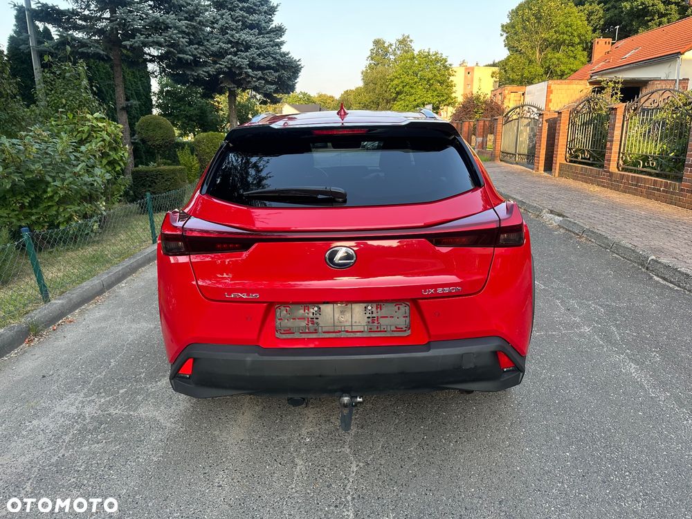 Lexus UX 250h Prestige 2WD - 14