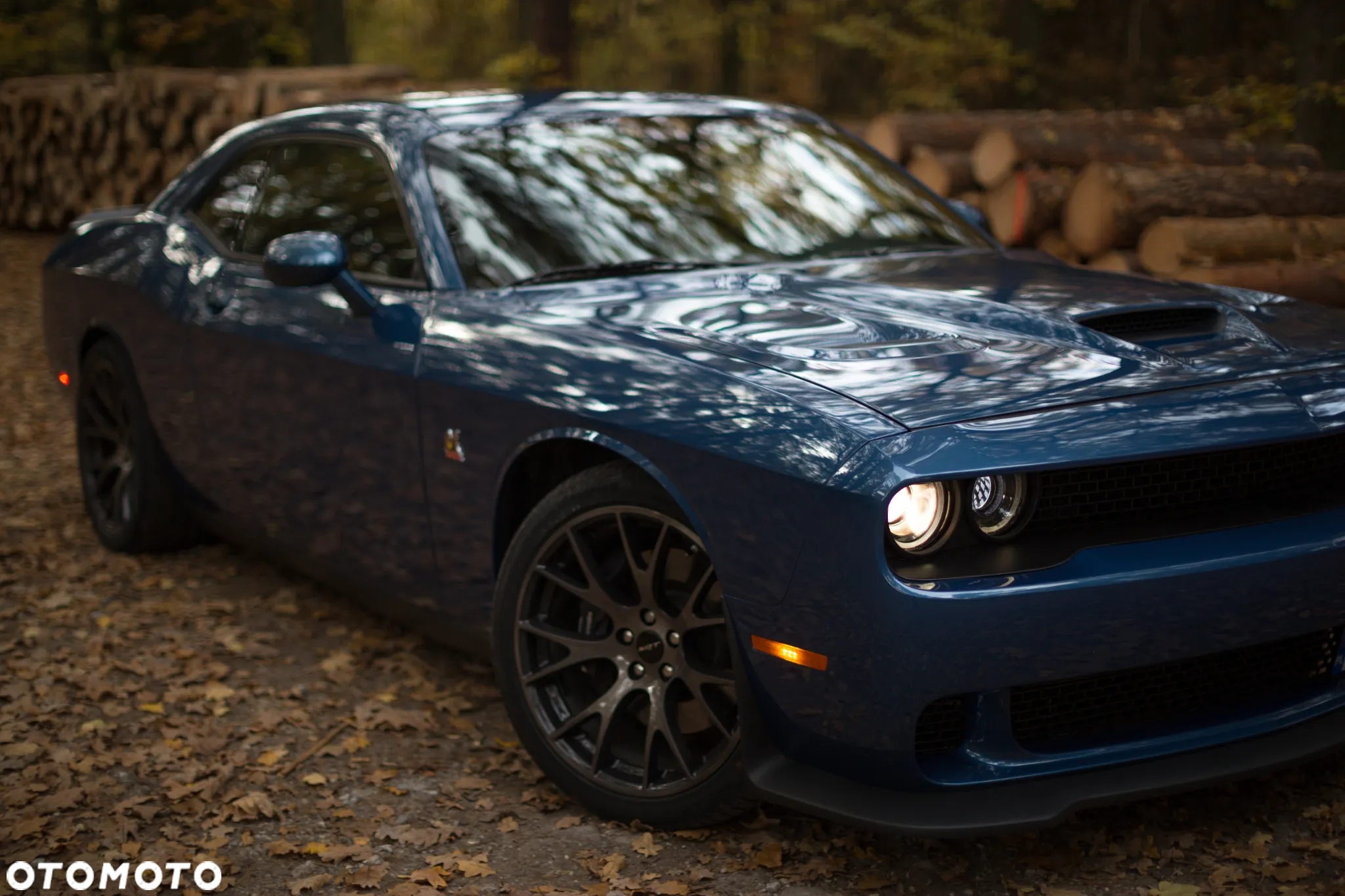 Dodge Challenger - 17