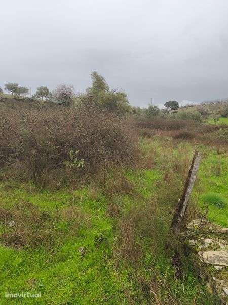 Terreno rústico em Moncorvo - Grande imagem: 2/8