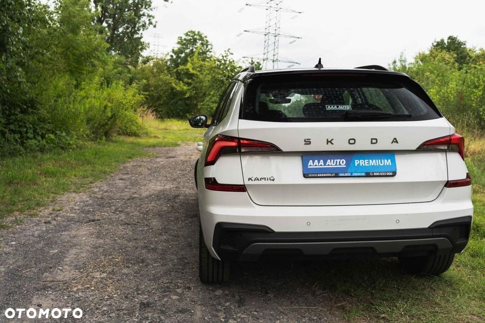 Skoda Kamiq - 12