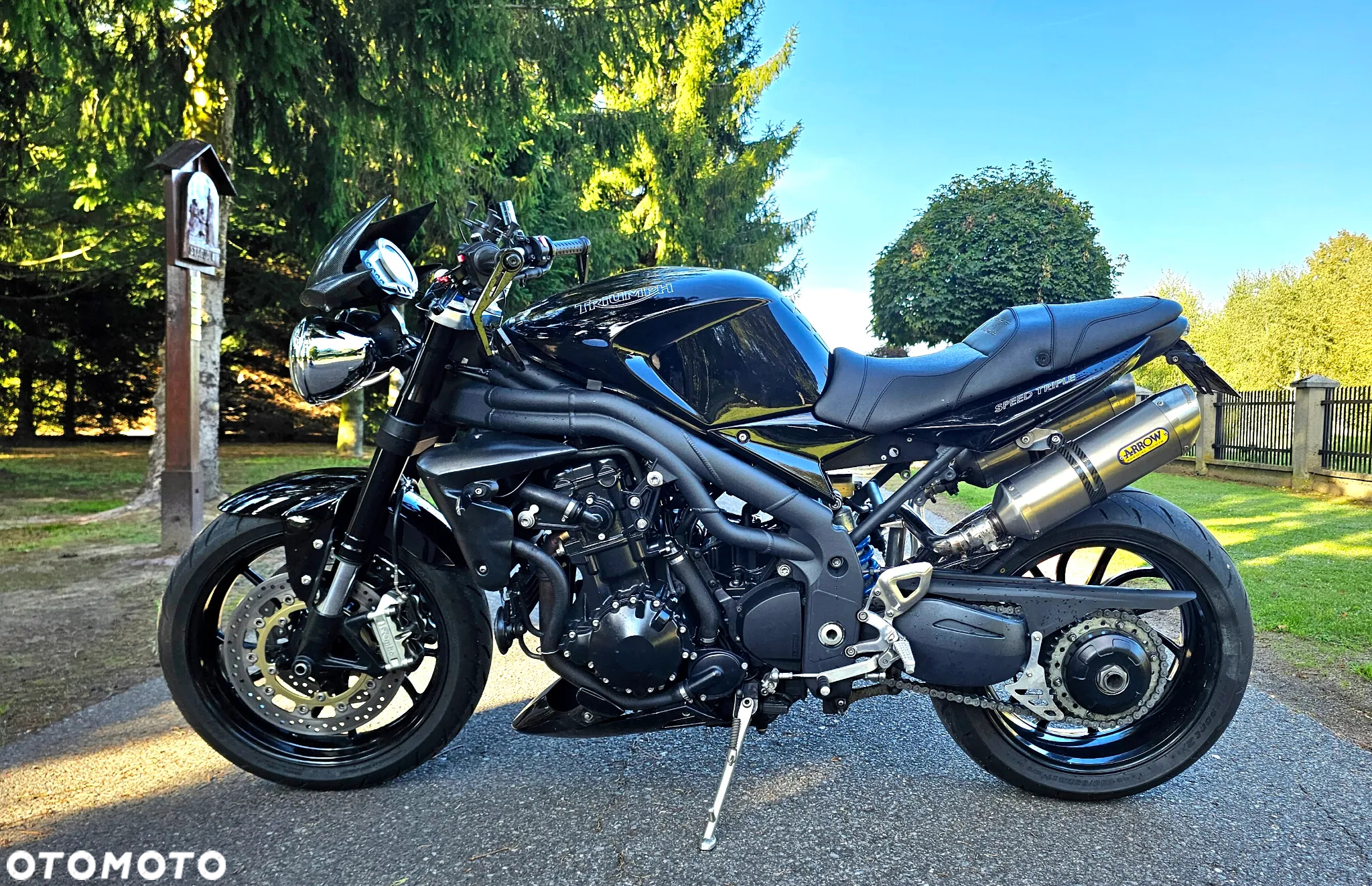 Triumph Speed Triple - 7