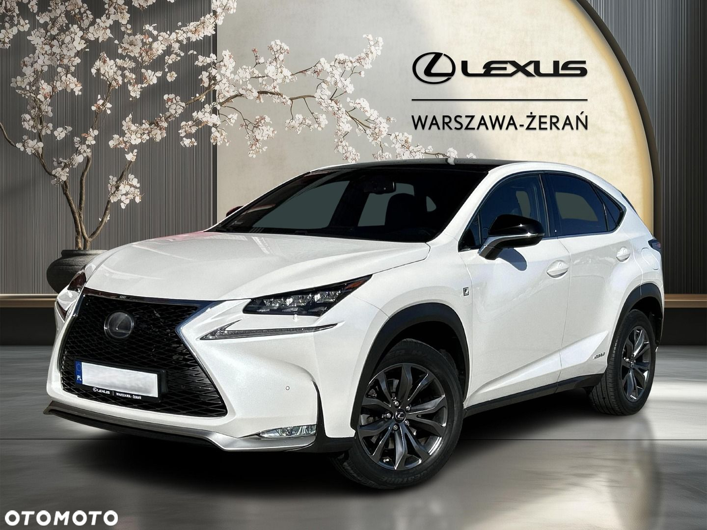 Lexus NX 300h F Sport AWD - 2