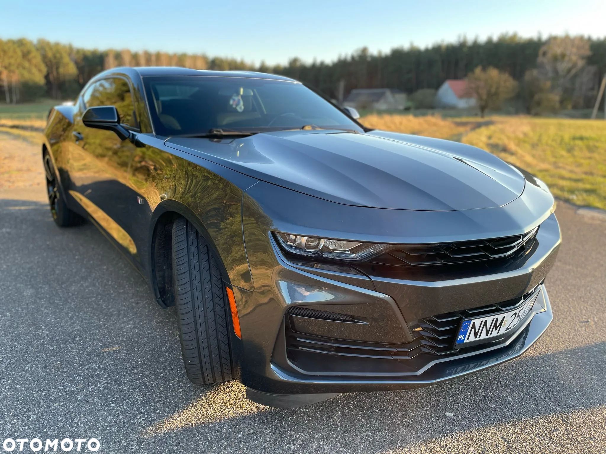 Chevrolet Camaro - 1