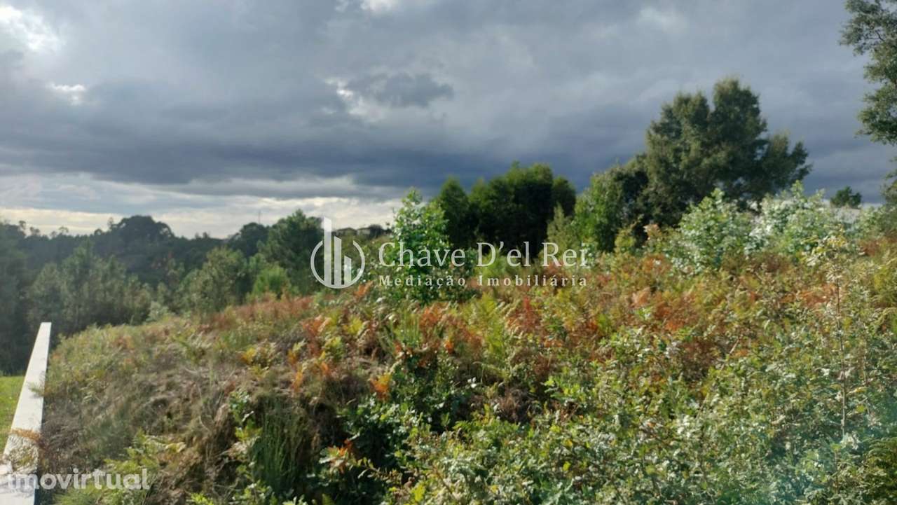 Terreno Para Construção  Venda em Cavernães,Viseu - Grande imagem: 4/11