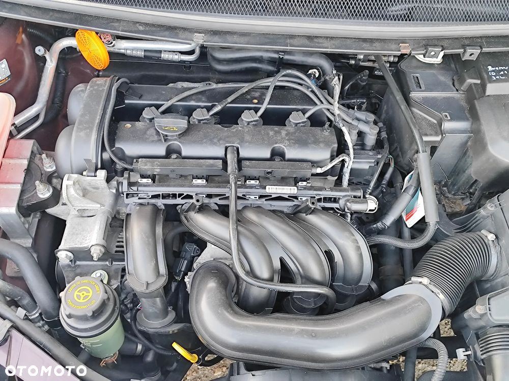 Ford Focus 1.4 FX Gold - 16